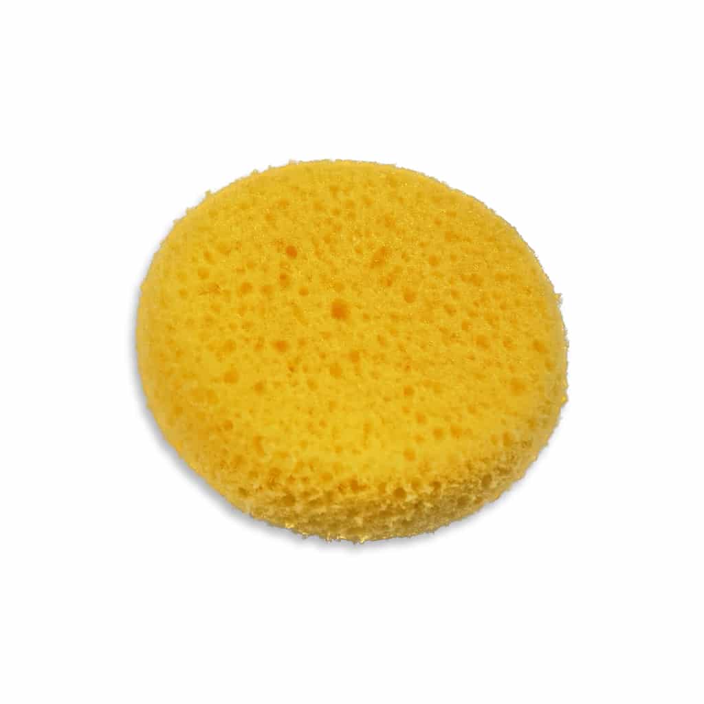Sponges