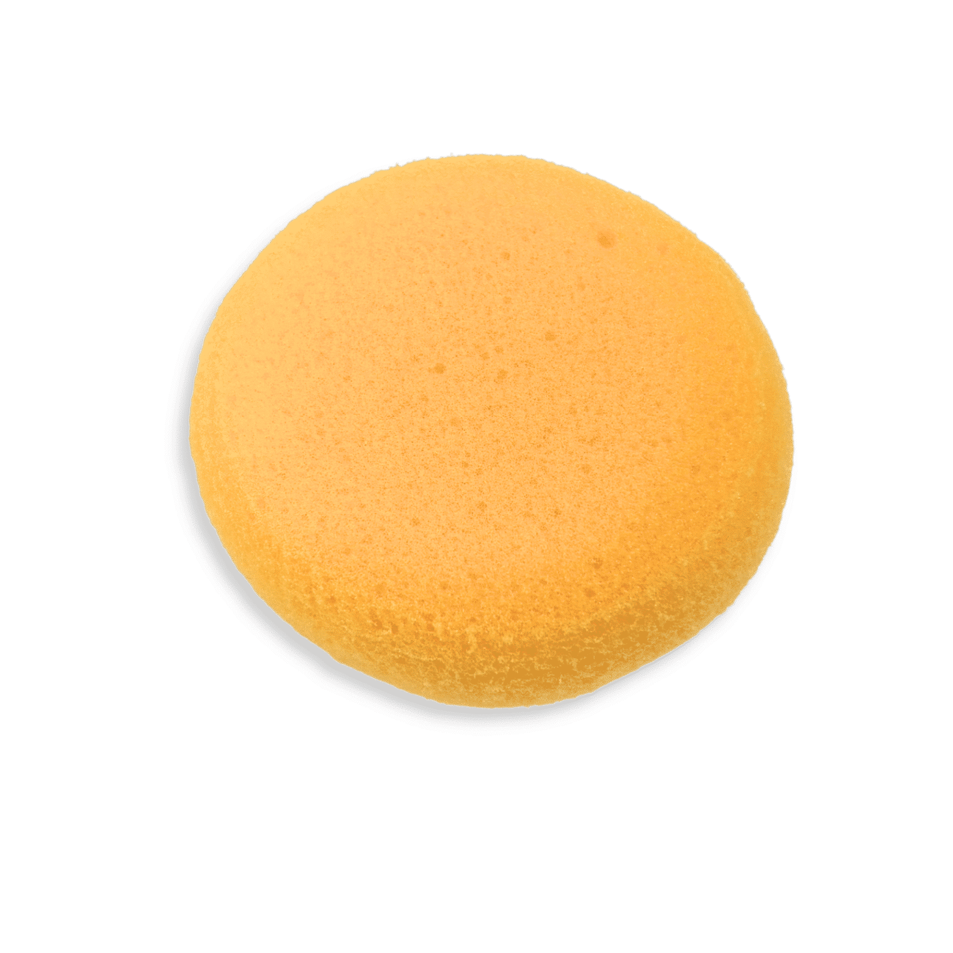 Basic Round Potter's Sponge - 50 Pack