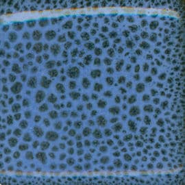 Texas Two-Step Oilspot
